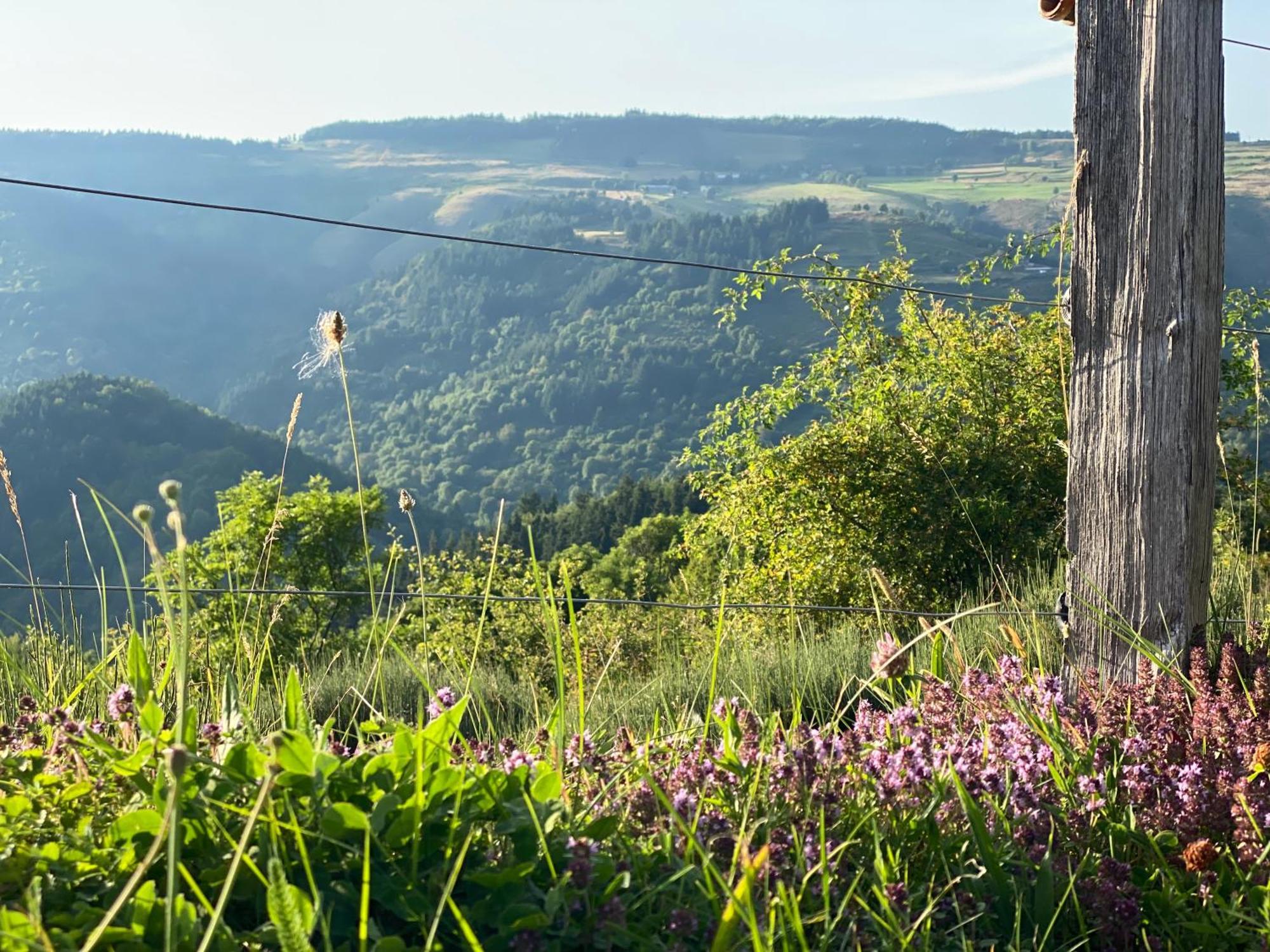 Willa Tiny House De Tempoyrac La Rochette  Zewnętrze zdjęcie