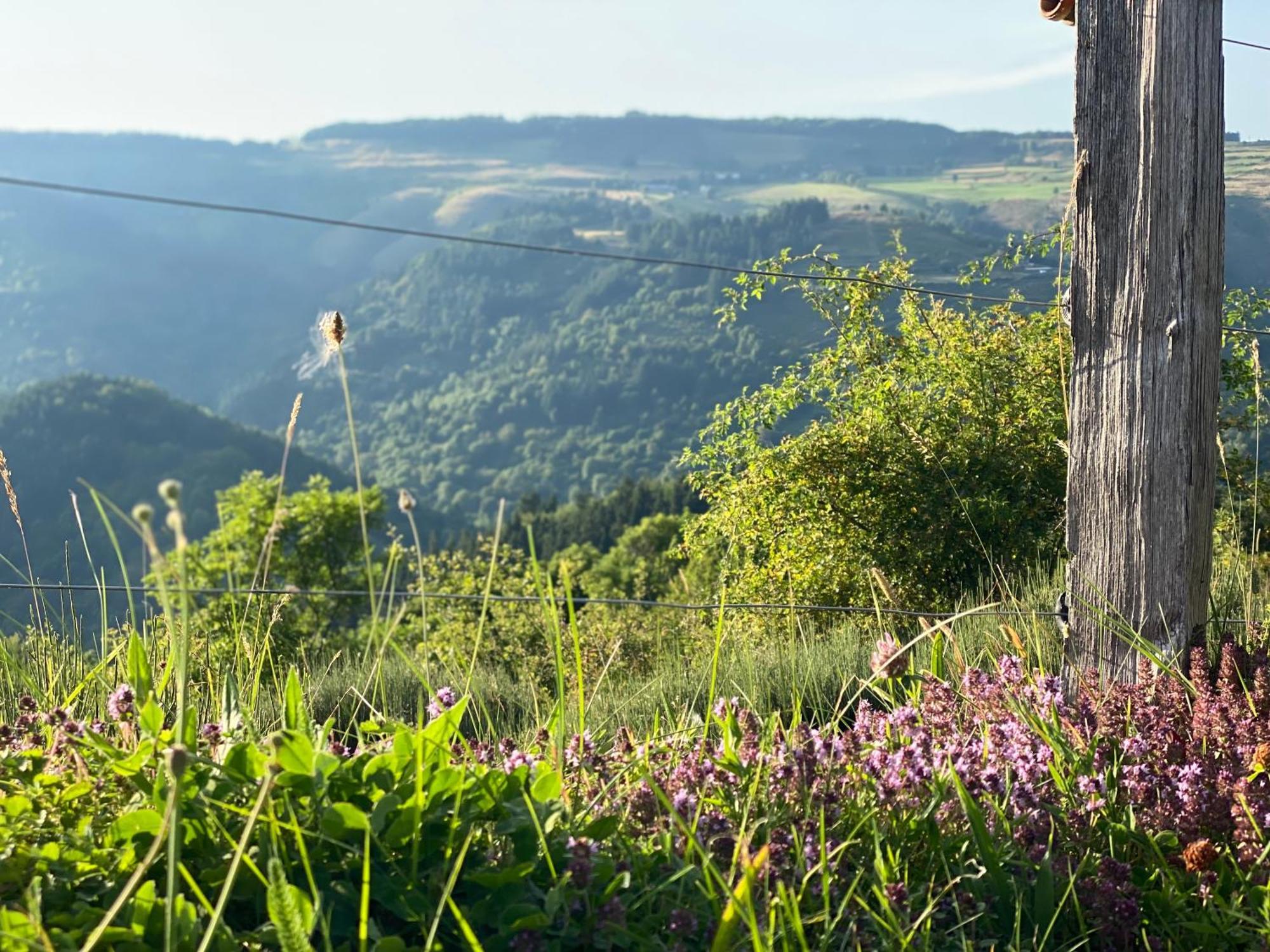 Willa Tiny House De Tempoyrac La Rochette  Zewnętrze zdjęcie
